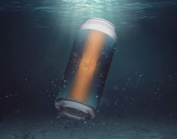 Orange Starfish • IPA • 4pk