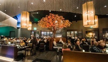 Okura Robata Grill & Sushi Bar 78480 California 111