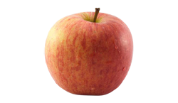 Apple (GF) (Ve)