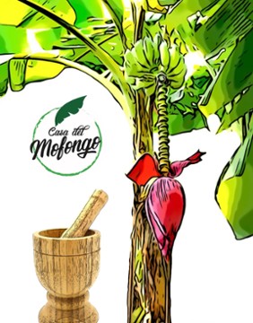 Casa Del Mofongo