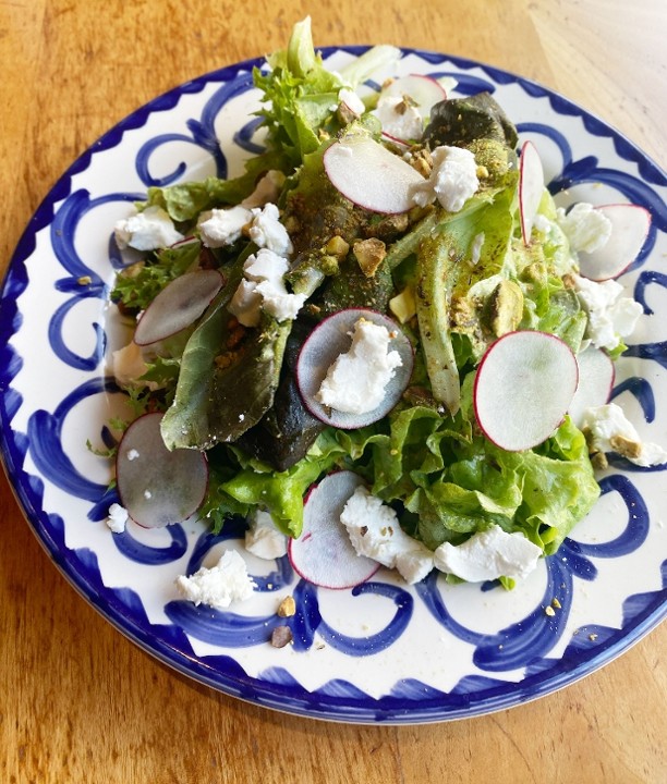 Spring Lettuces