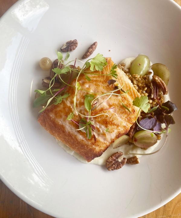 Salmon