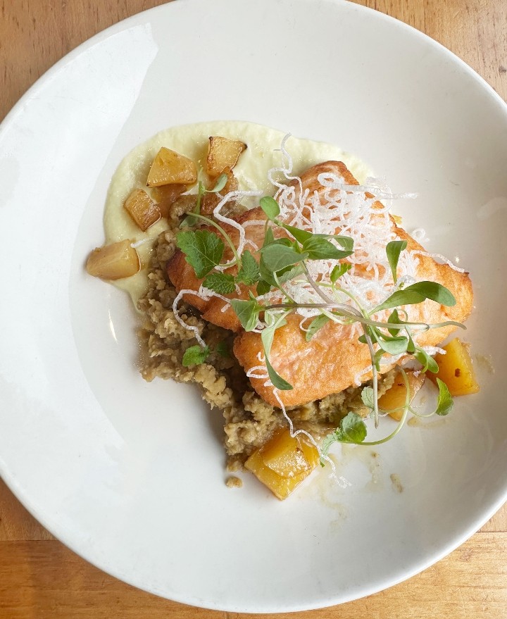 Salmon