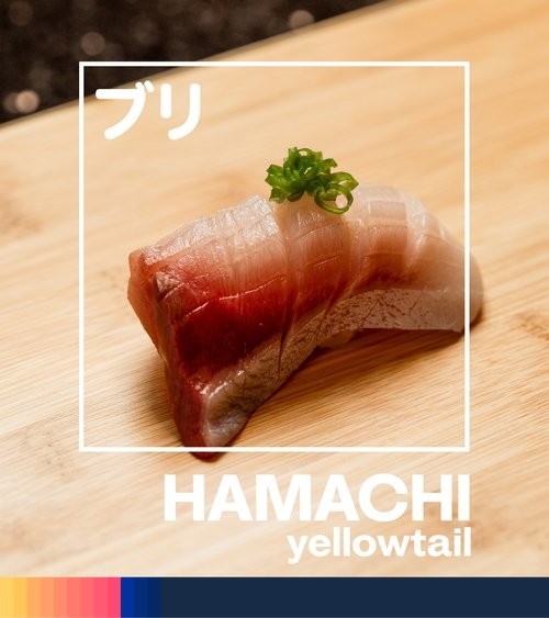Hamachi (yellowtail) Nigiri set (2)