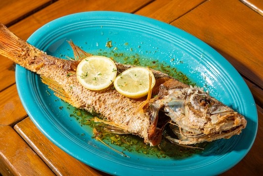 WHOLE SNAPPER