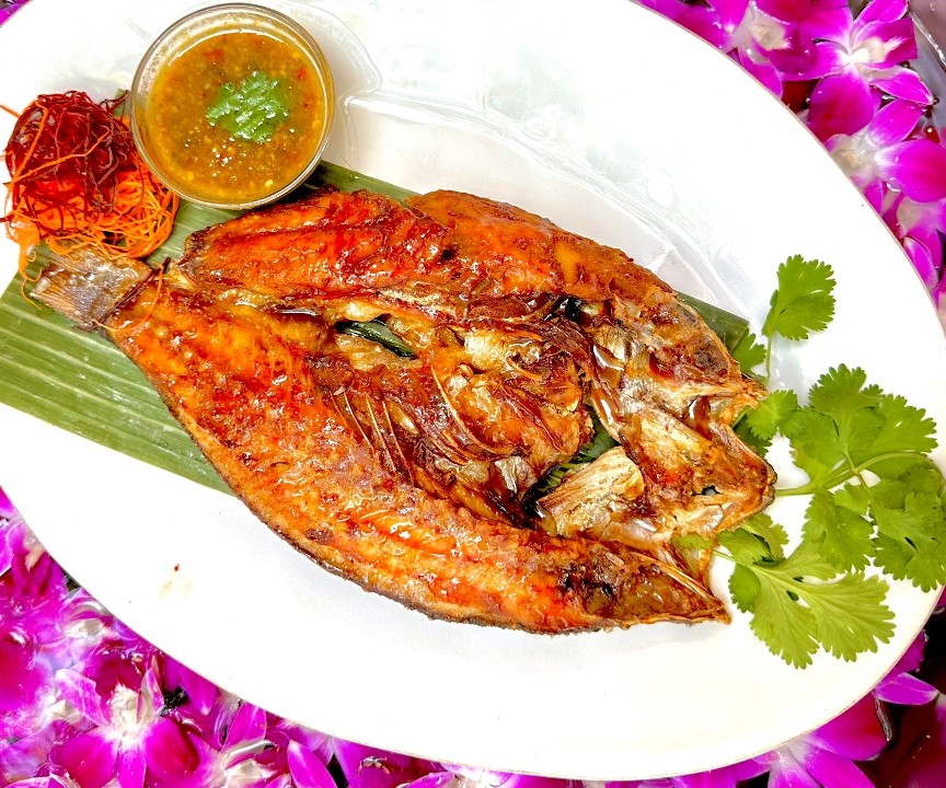 R15 Milk Fish Tod Nampla