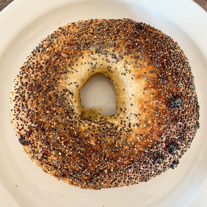 Poppy Seed Bagel