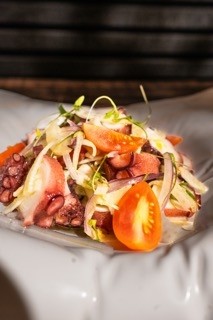 Octopus Salad