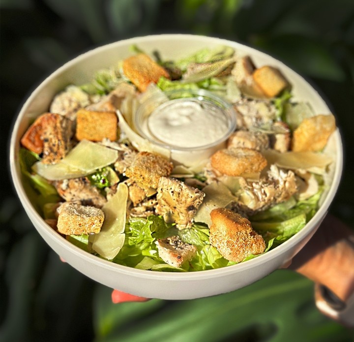 Chicken Caesar Salad