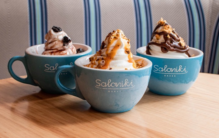 Saloniki Greek Fro Yo