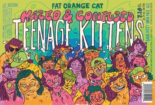 Fat Orange Cat Hazed & Confused Teenage Kittens 4pk 16-oz Can