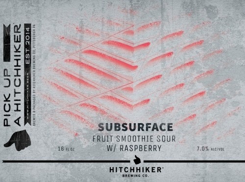 Hitchhiker Subsurface 4pk 16-oz