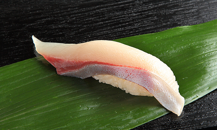 Yellowtail - Hamachi
