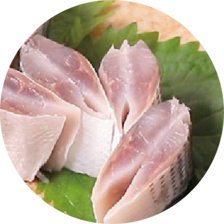 Japaness Shad - Kohada