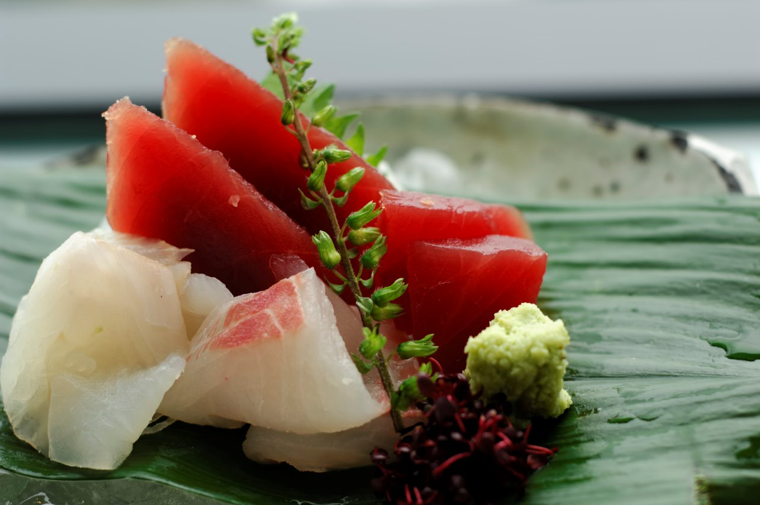 Sashimi appetizer