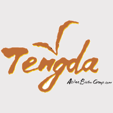 Tengda of Westport logo