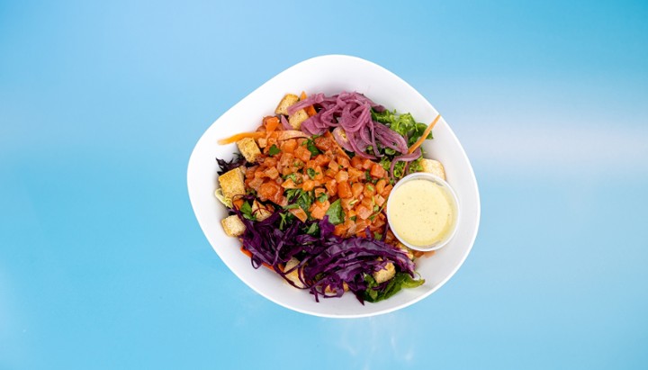 Salmon Citrus Salad +