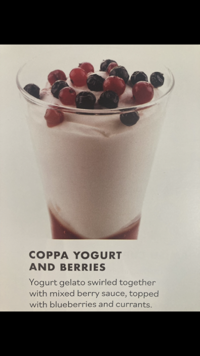 Coppa Yogurt and Berries
