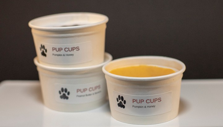 Pup Cup - Pumpkin Honey