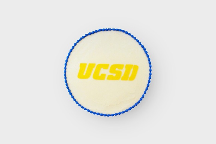 UCSD Graduation Cake
