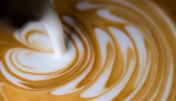 Intelligentsia Coffee - Monadnock