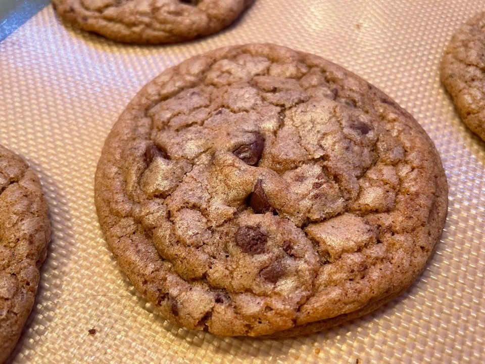 Chocolate Chip Cookie - Plain