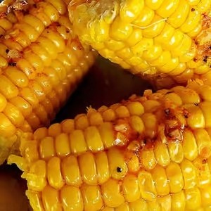 Corn on the Cob (3)