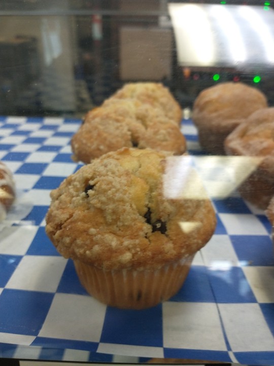 Chocolate Chip Muffin