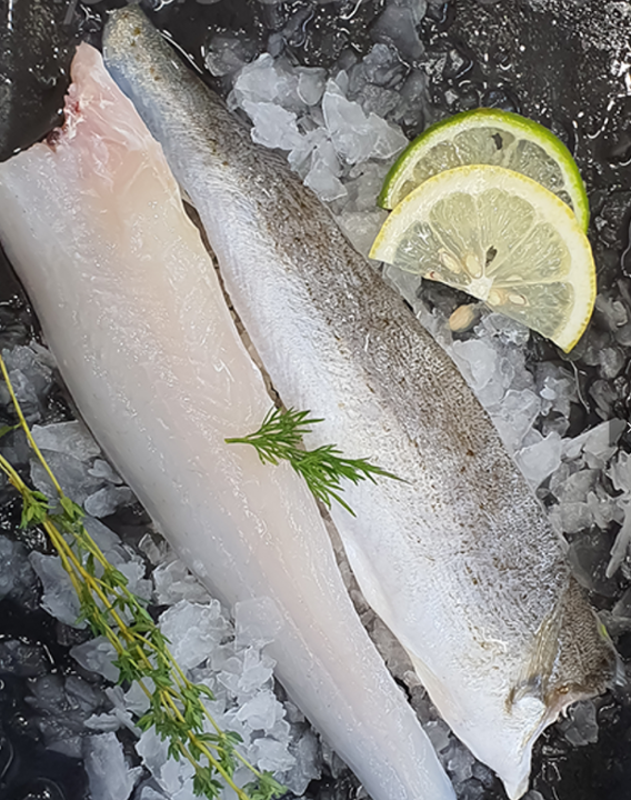 Whiting Fillet