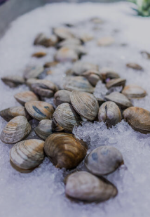 Little Neck Clam 1/2 Bag