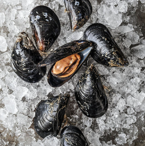 Mussels per pound