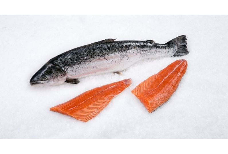 Atlantic Salmon Fillet