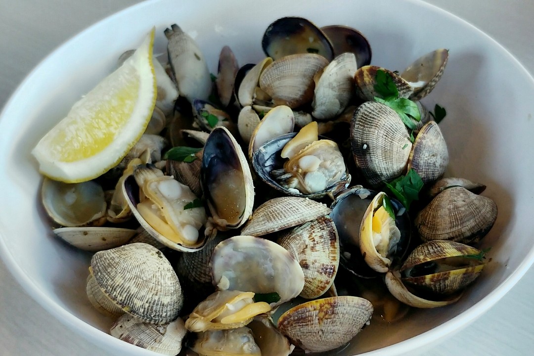 Steamers Clams Only