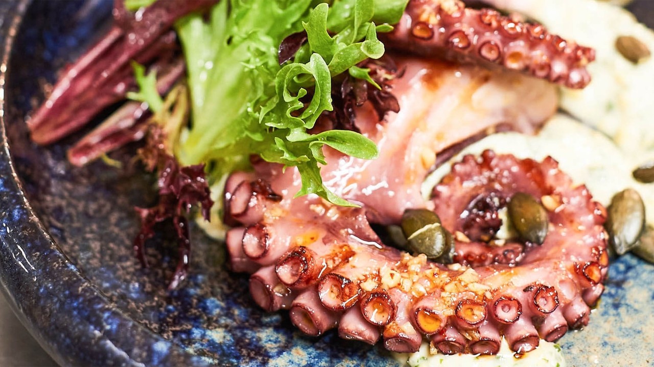 Levant Grilled Octopus