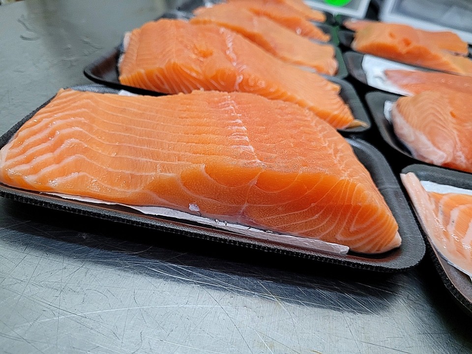 Salmon