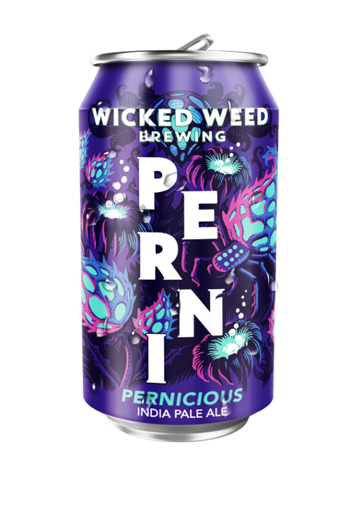 Pernicious 6 pack