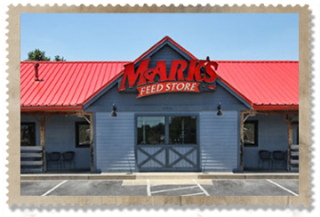 002-Mark's Feed Store - Dixie