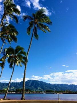How'z It Hawaiian Grill