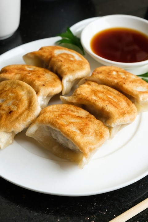 Pan Fried Chicken Dumplings 鸡肉煎饺