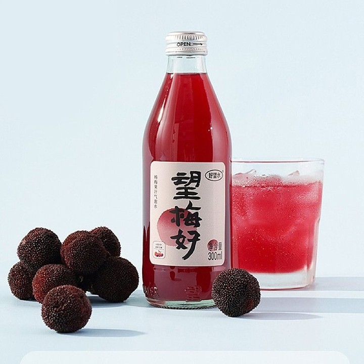 望梅好Waxberry Flavor Drink