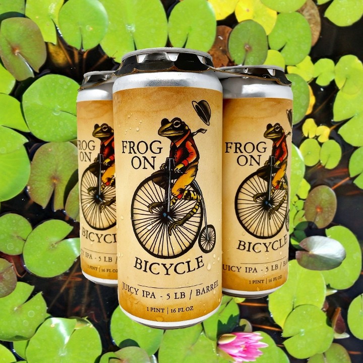 4-pack Frog On Bicycle