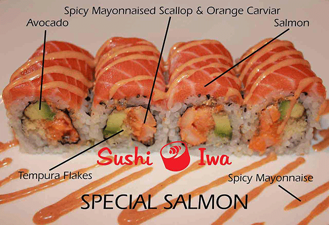 SPECIAL SALMON