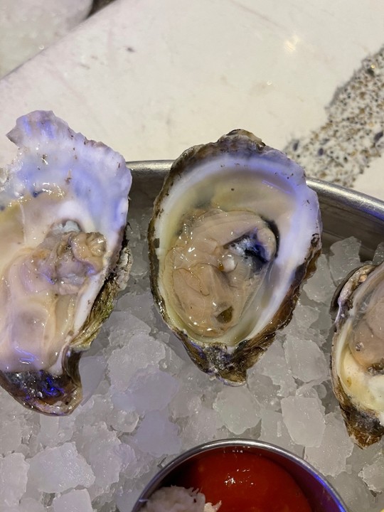 Sea Stone Oysters- Each