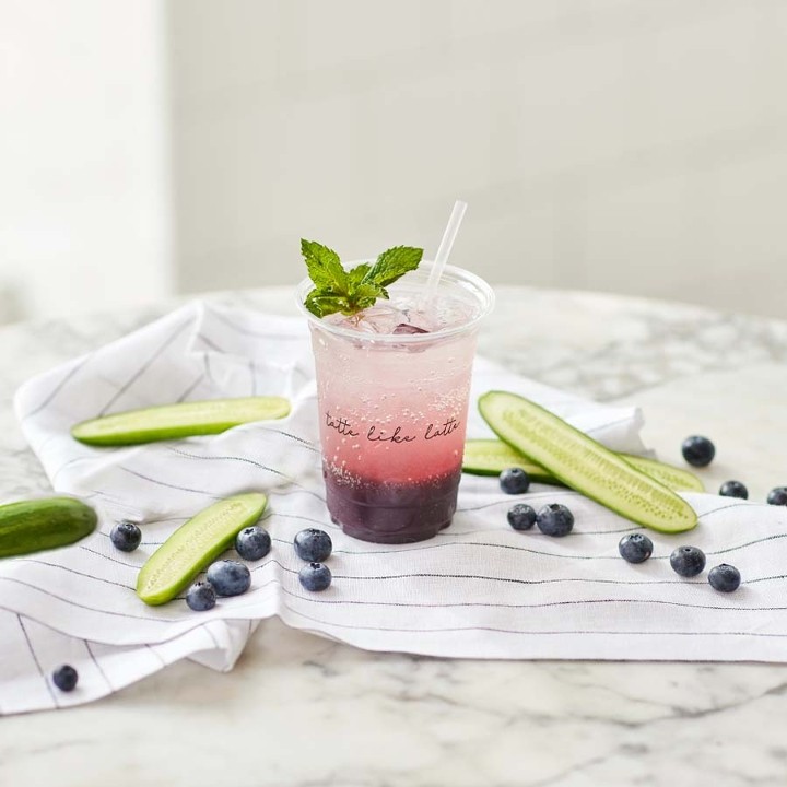 Blueberry Cucumber Soda