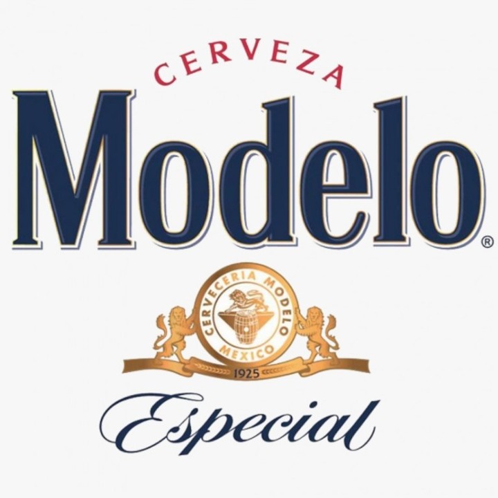 MODELO ESPECIAL