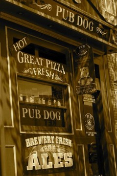 Pub Dog