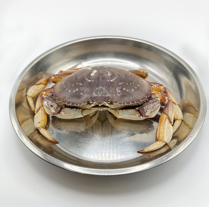 M14. Live Dungeness Crab 2lbs