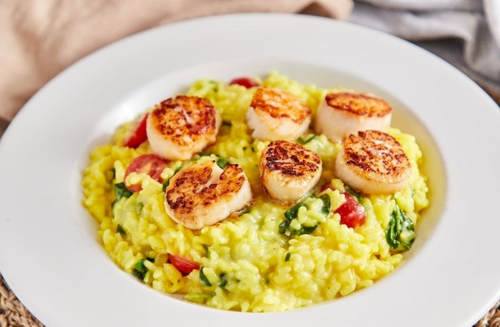 Scallops Risotto