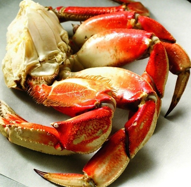 Dungeness Crab Legs 1lb