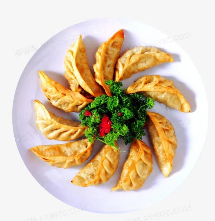 Fried Pork Vegetable Dumplings 猪肉蔬菜煎饺